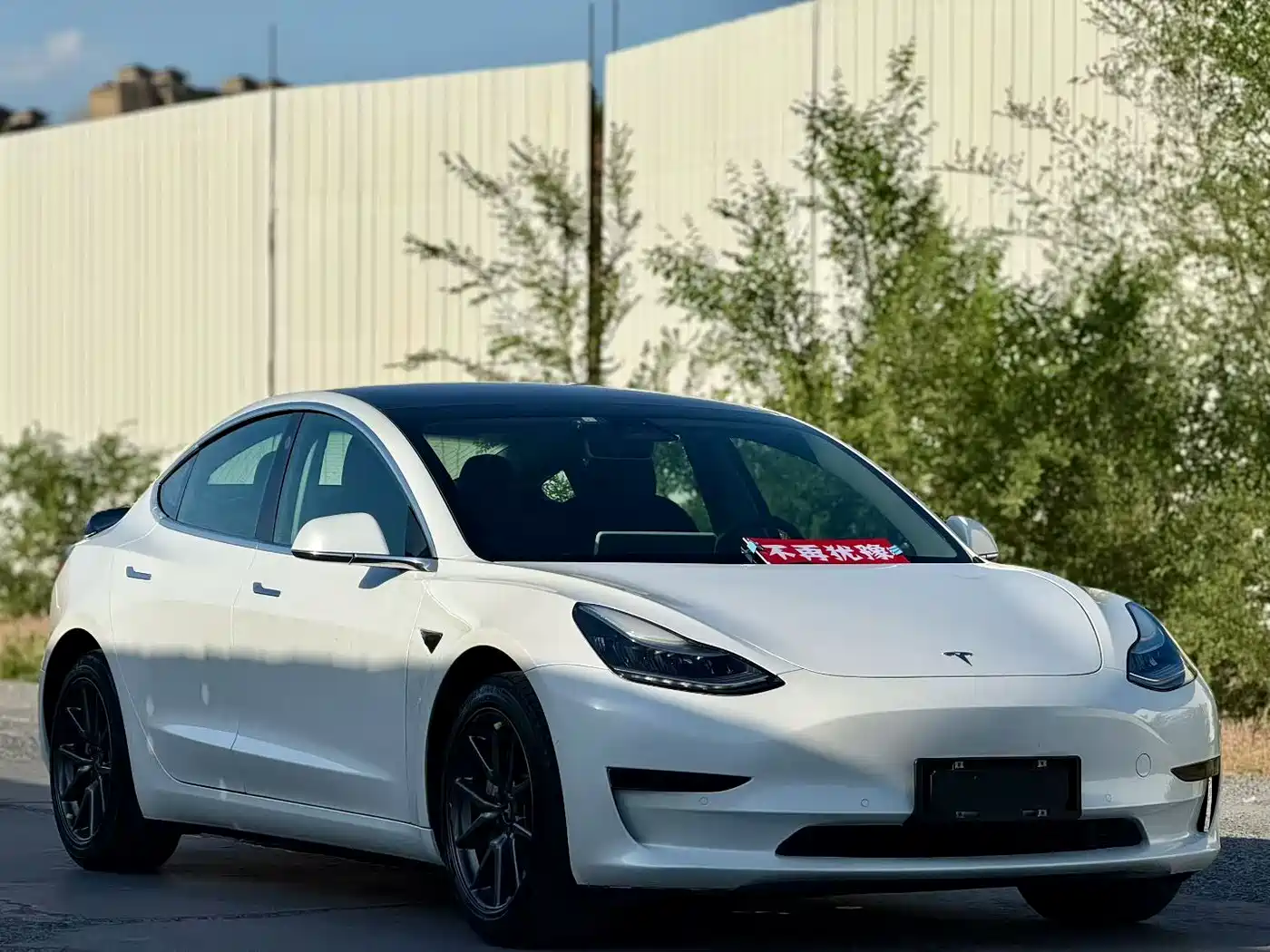 TESLA MODEL 3 (IMPORTED)