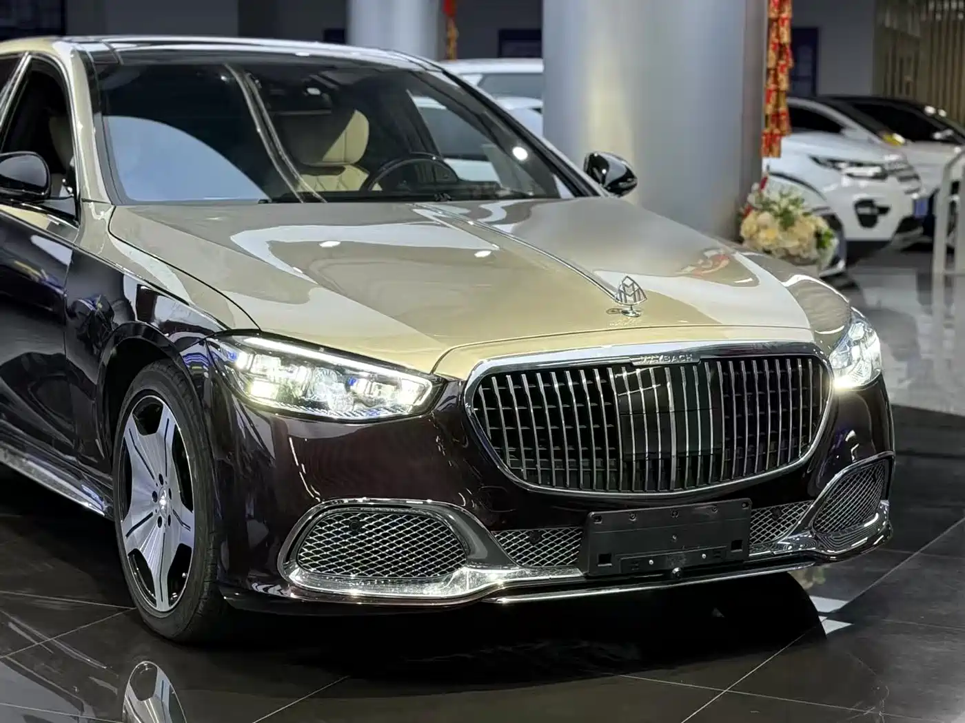 Mercedes-Benz S-Class 2010 S 300 L Premium фото 3