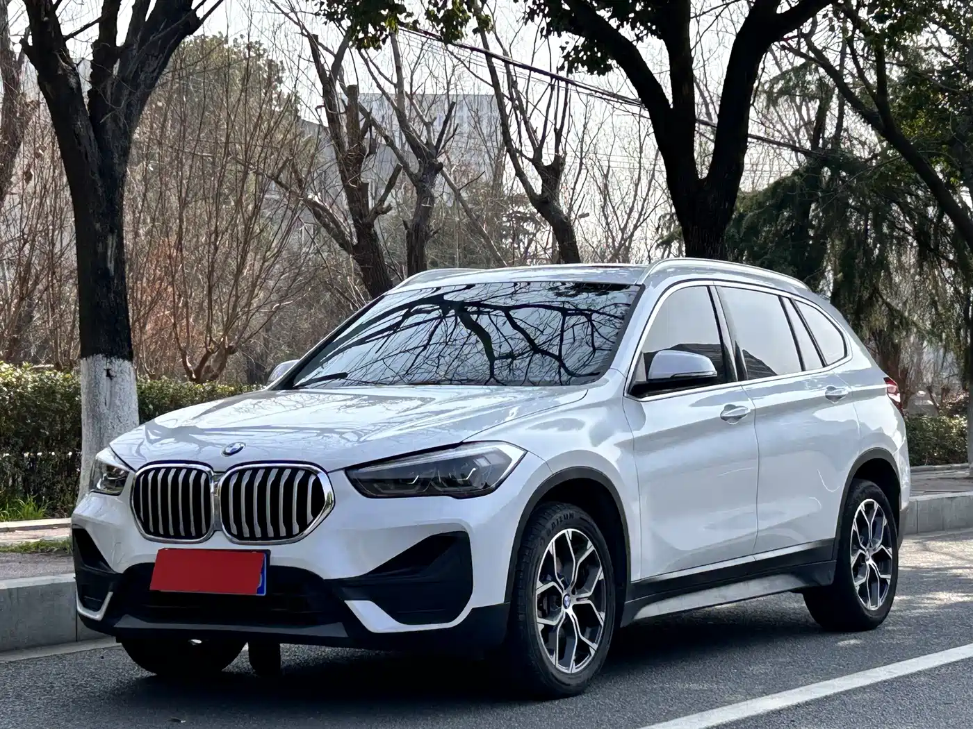 BMW X1 2020 sDrive25Li Leading Model