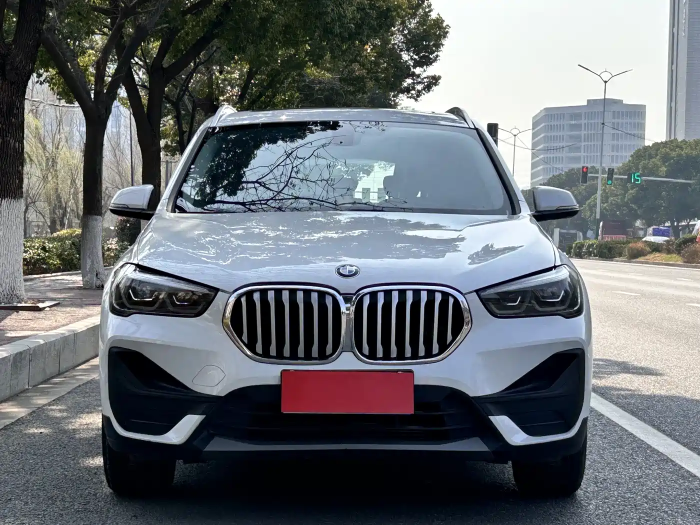 BMW X1 2020 sDrive25Li Leading Model фото 2