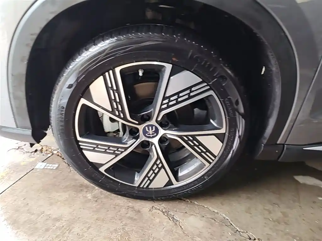 BYD Song Pro New Energy 2023 Champion Edition DM-i 110KM Excellence фото 23