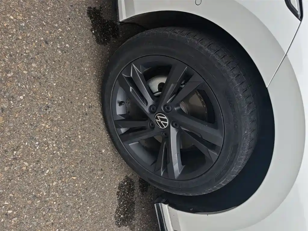 Volkswagen Golf 2021 280TSI DSG R-Line фото 23