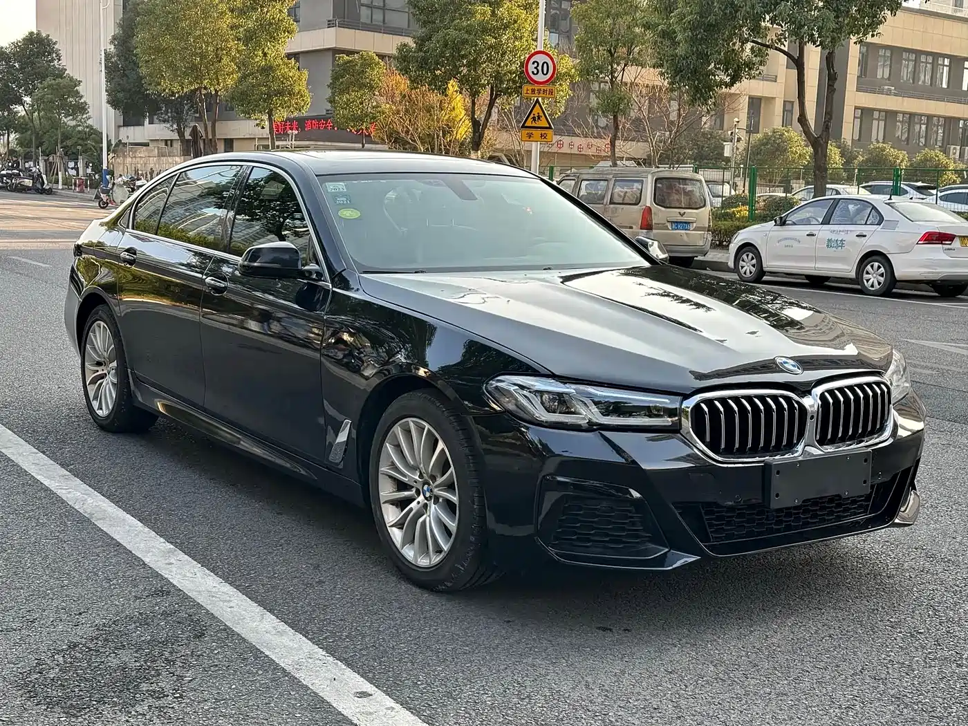 BMW 5 Series 2014 525Li Luxury Design Package фото 14
