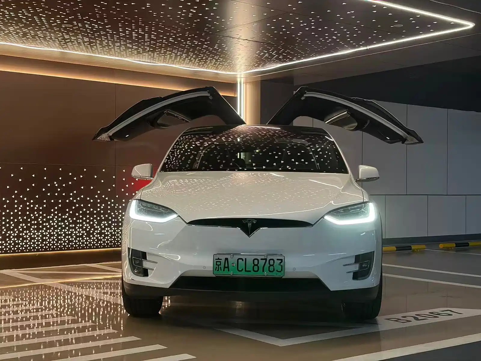 Фото 6 - Tesla Model X