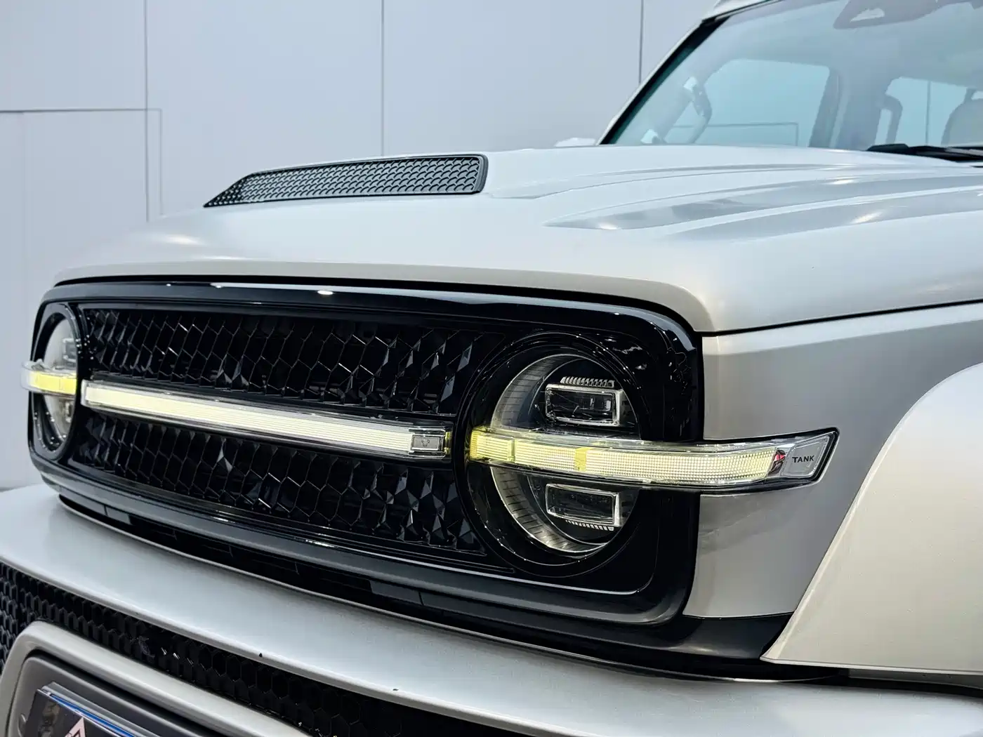 TANK CO CREATION TANK 300