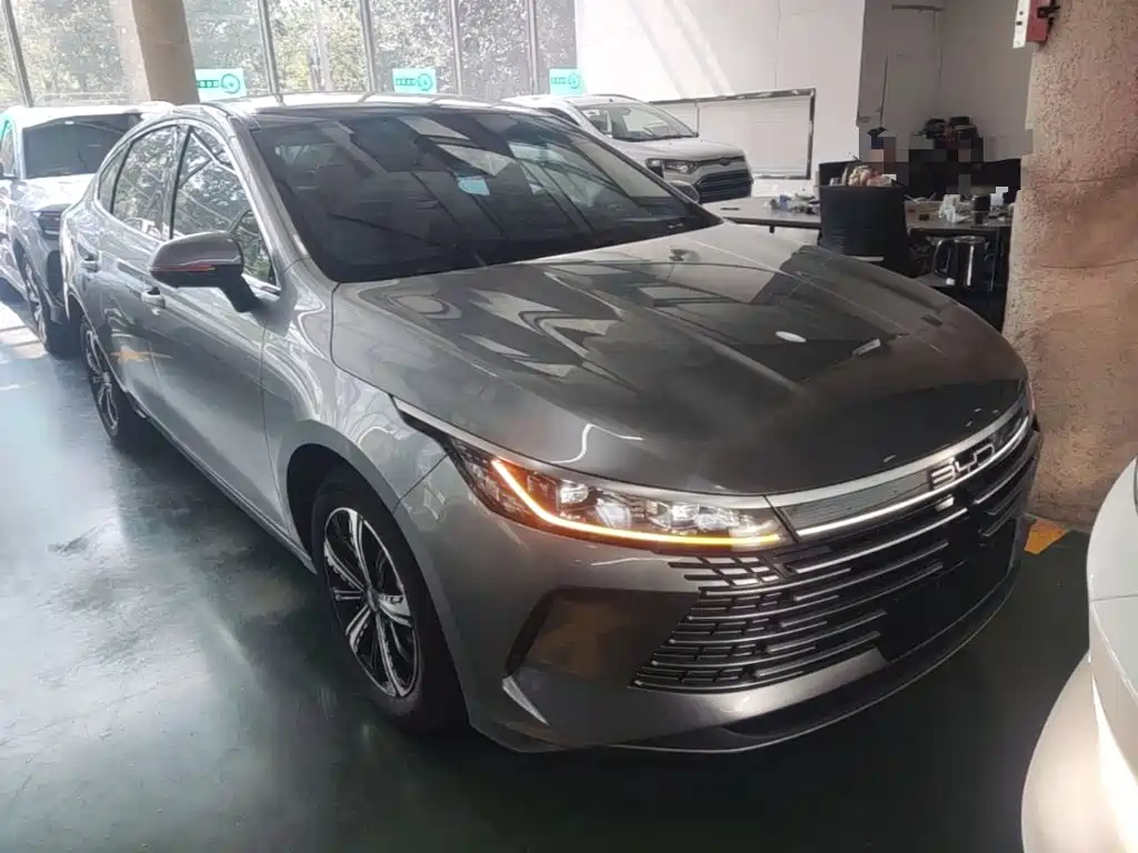Фото 4 - BYD Destroyer 05