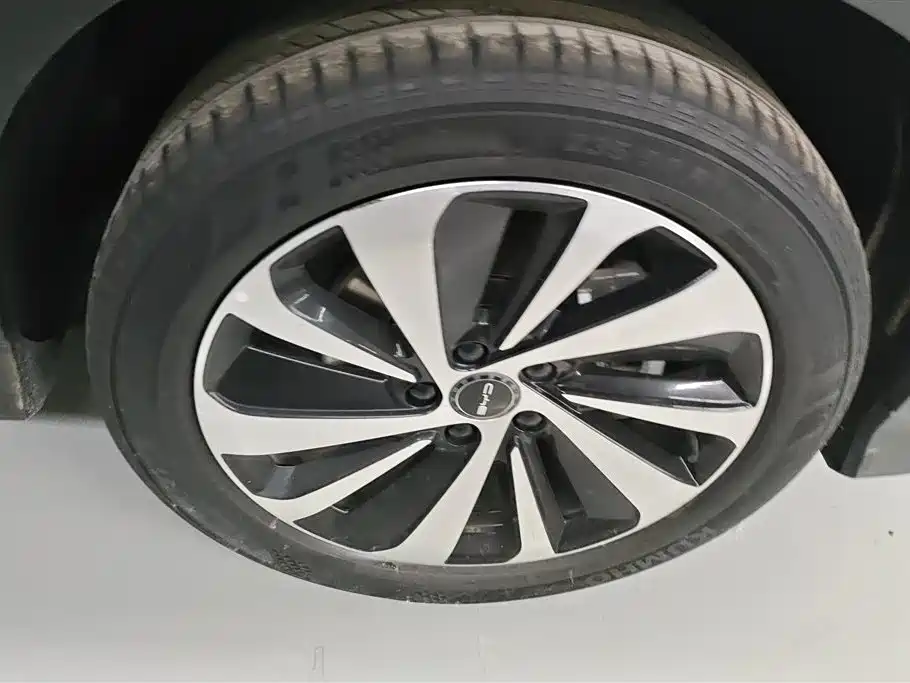 BYD Song PLUS PHEV 2023 Champion Edition DM-i 110KM Flagship фото 6
