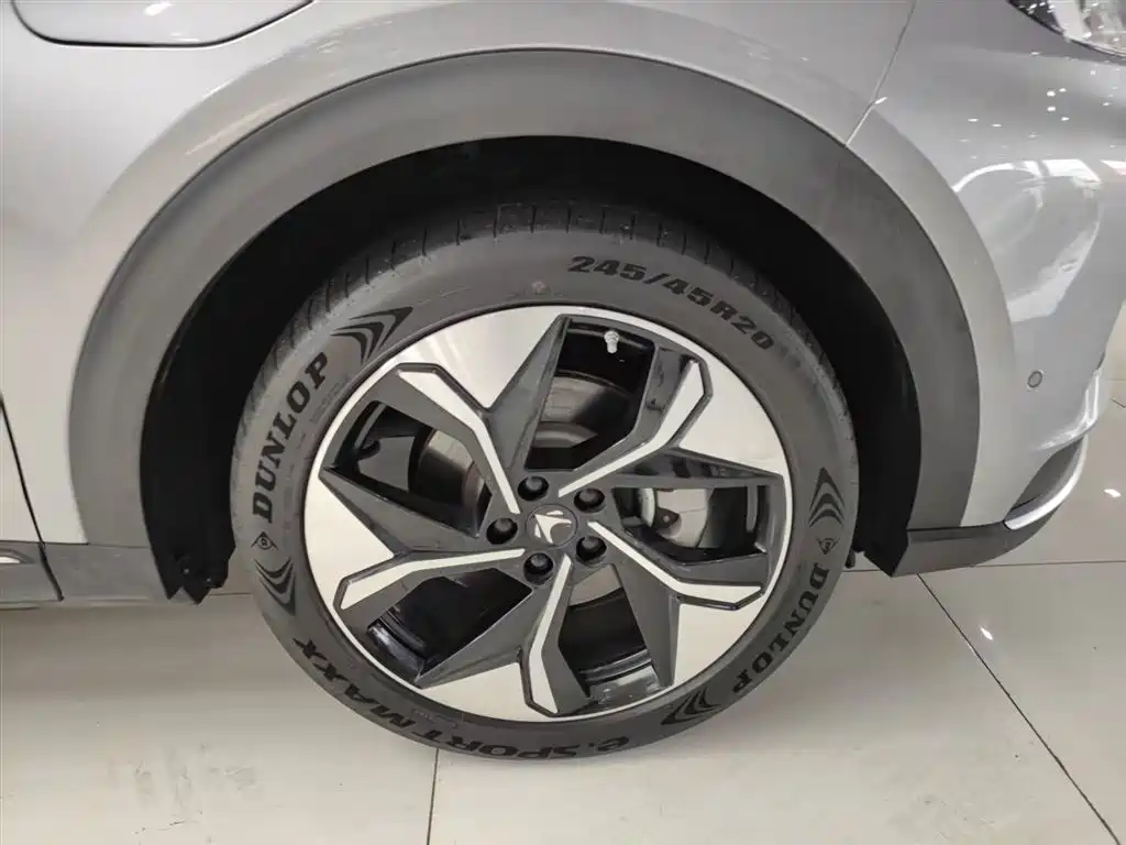 ARCFOX EXTREME FOX POLAR FOX ALPHA T