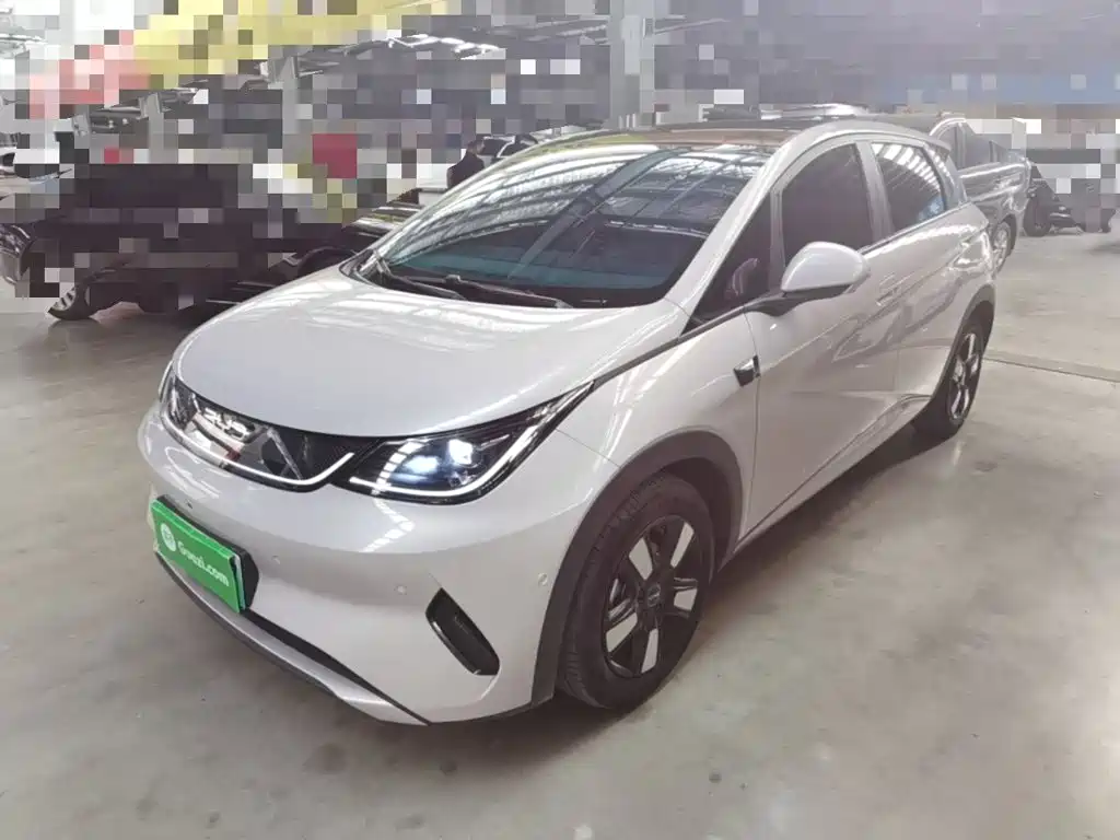 Фото 2 - BYD Dolphin