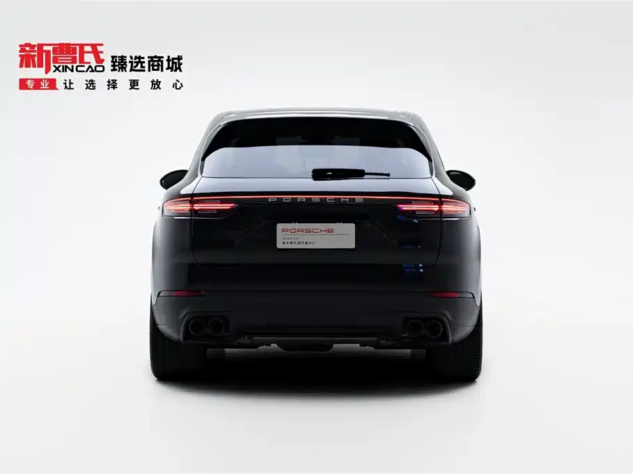 Porsche Cayenne 2022 Cayenne 3.0T Platinum Edition фото 4