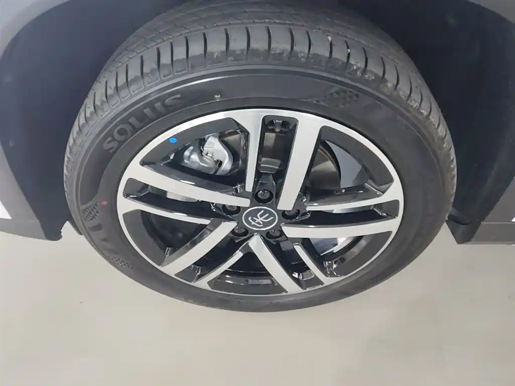 BYD Song L DM-i 2025 Smart Drive Edition 112km Surpassing фото 23