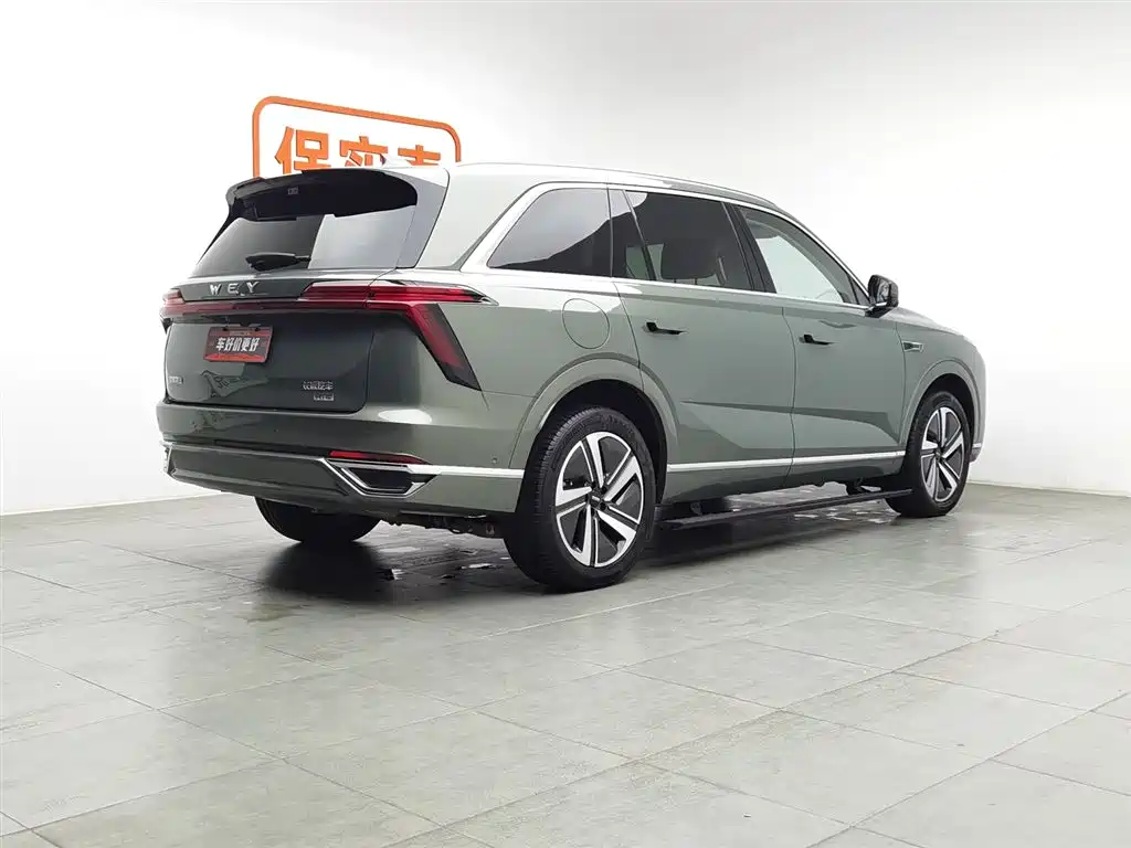 WEI PAI WEI BRAND BLUE MOUNTAIN