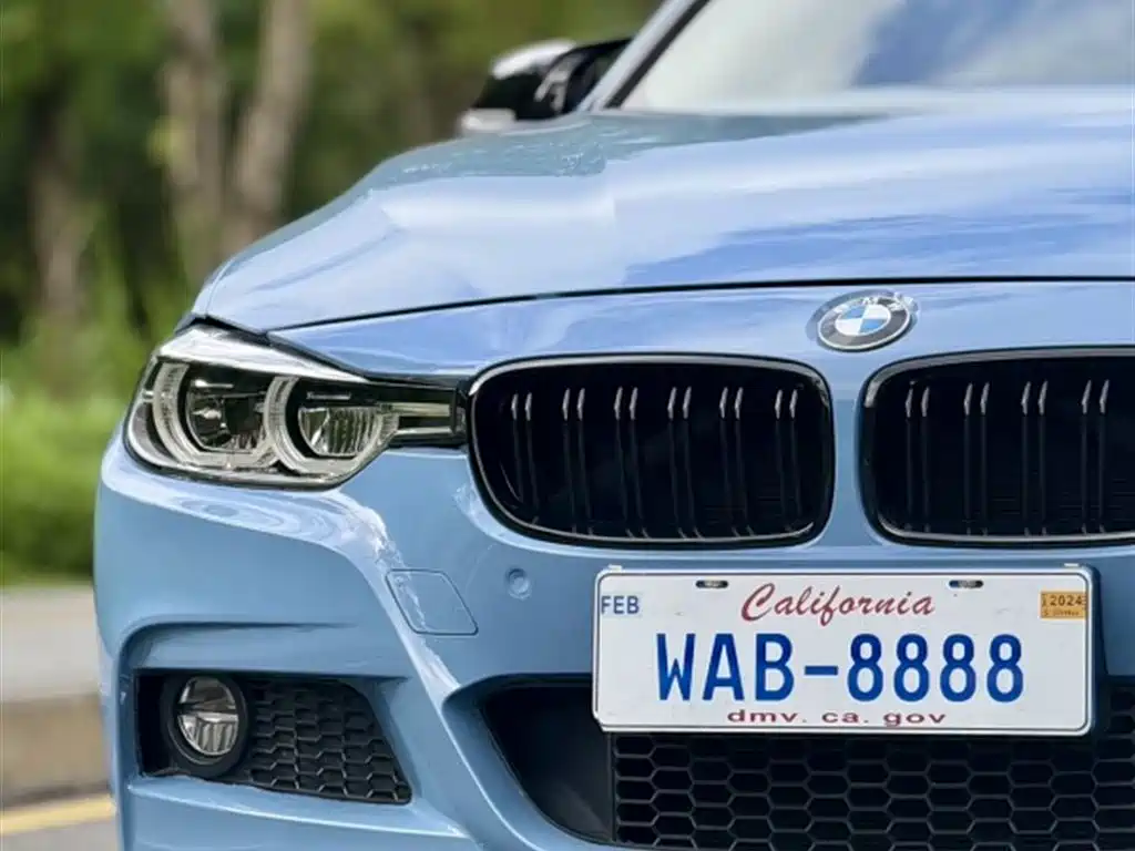 BMW 3 Series 2017 320Li M Sport фото 8