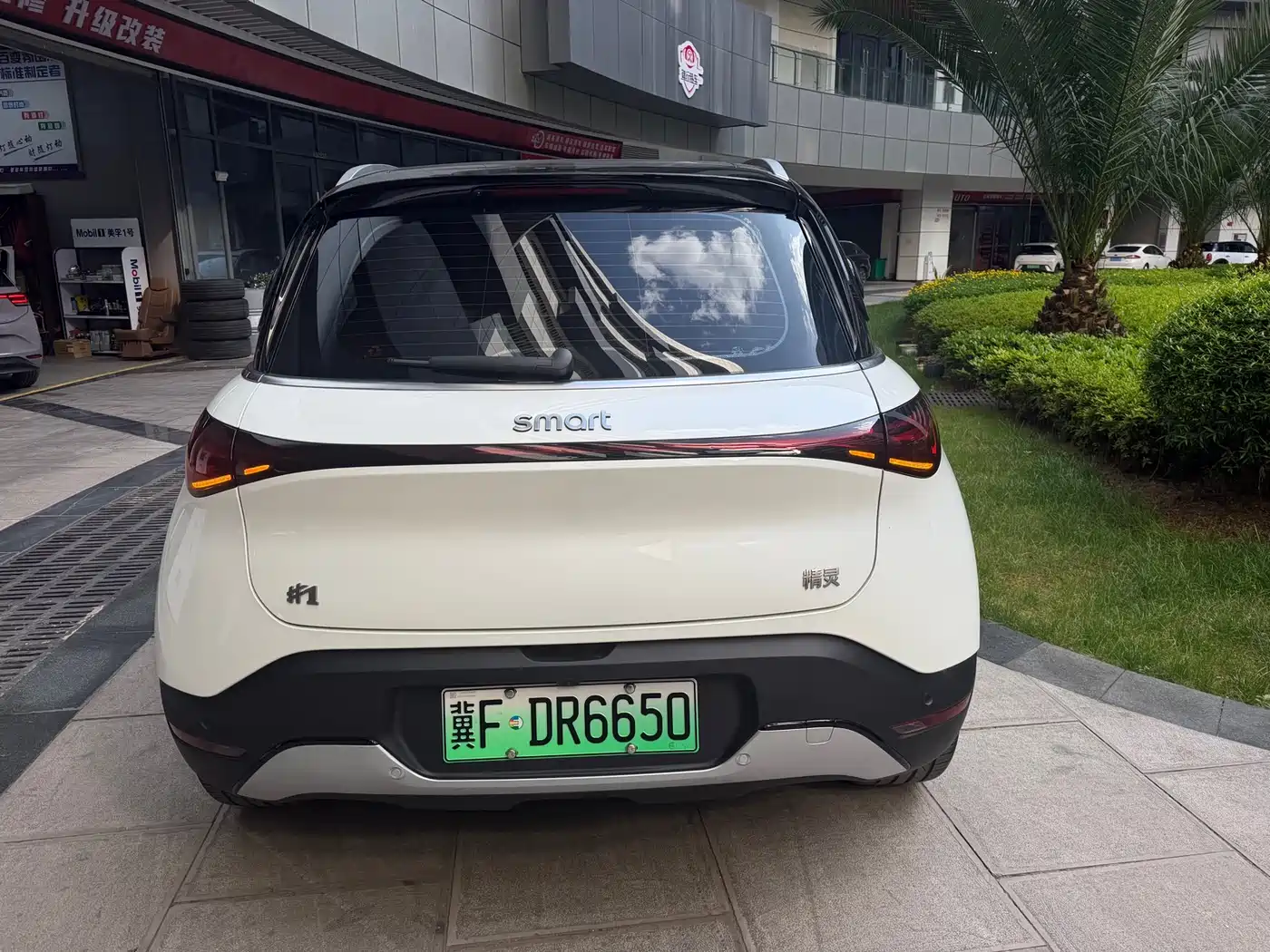 smart Elf #1 2025 2024 Agile Standard Edition