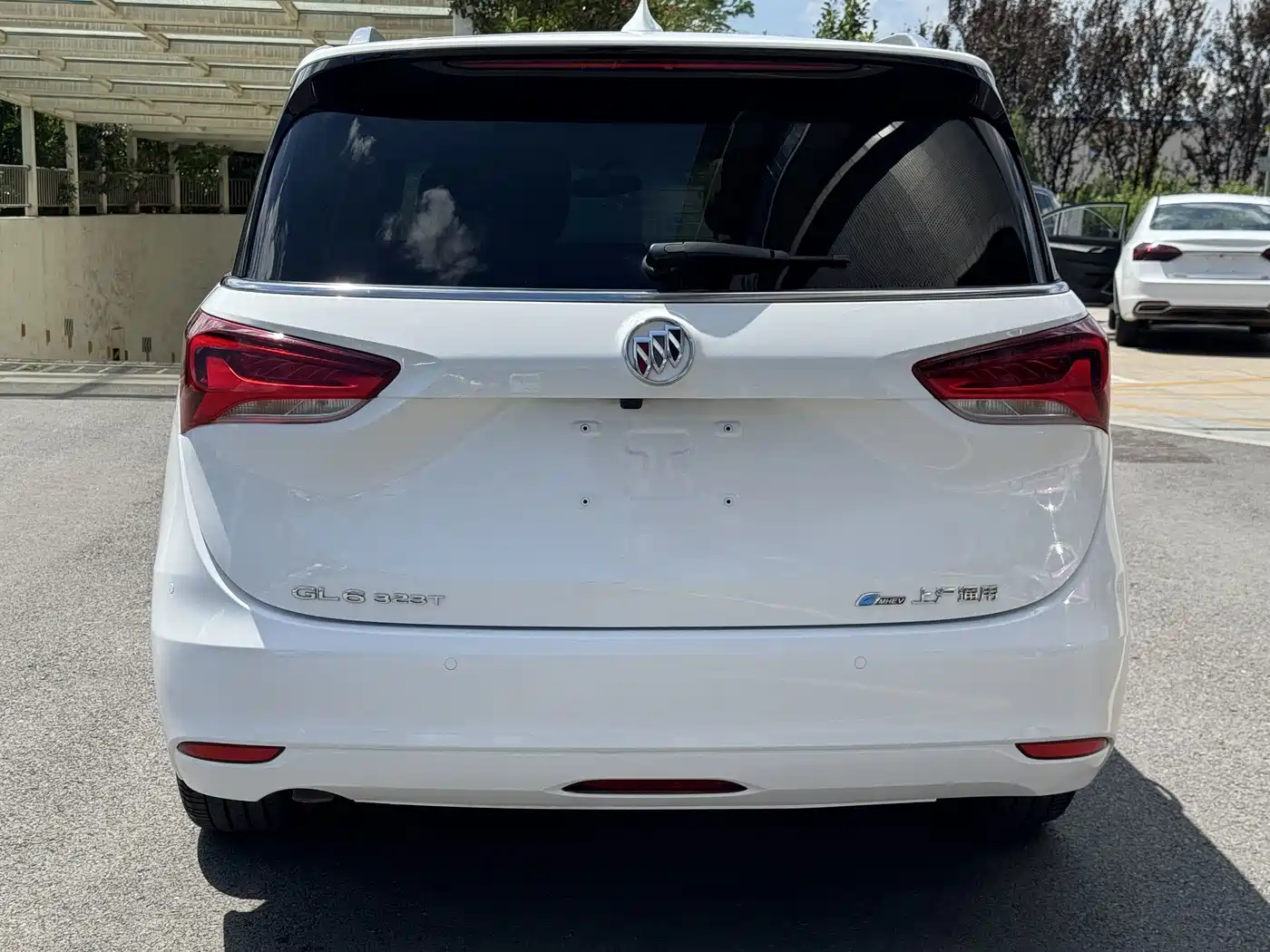 Фото 19 - Buick GL6
