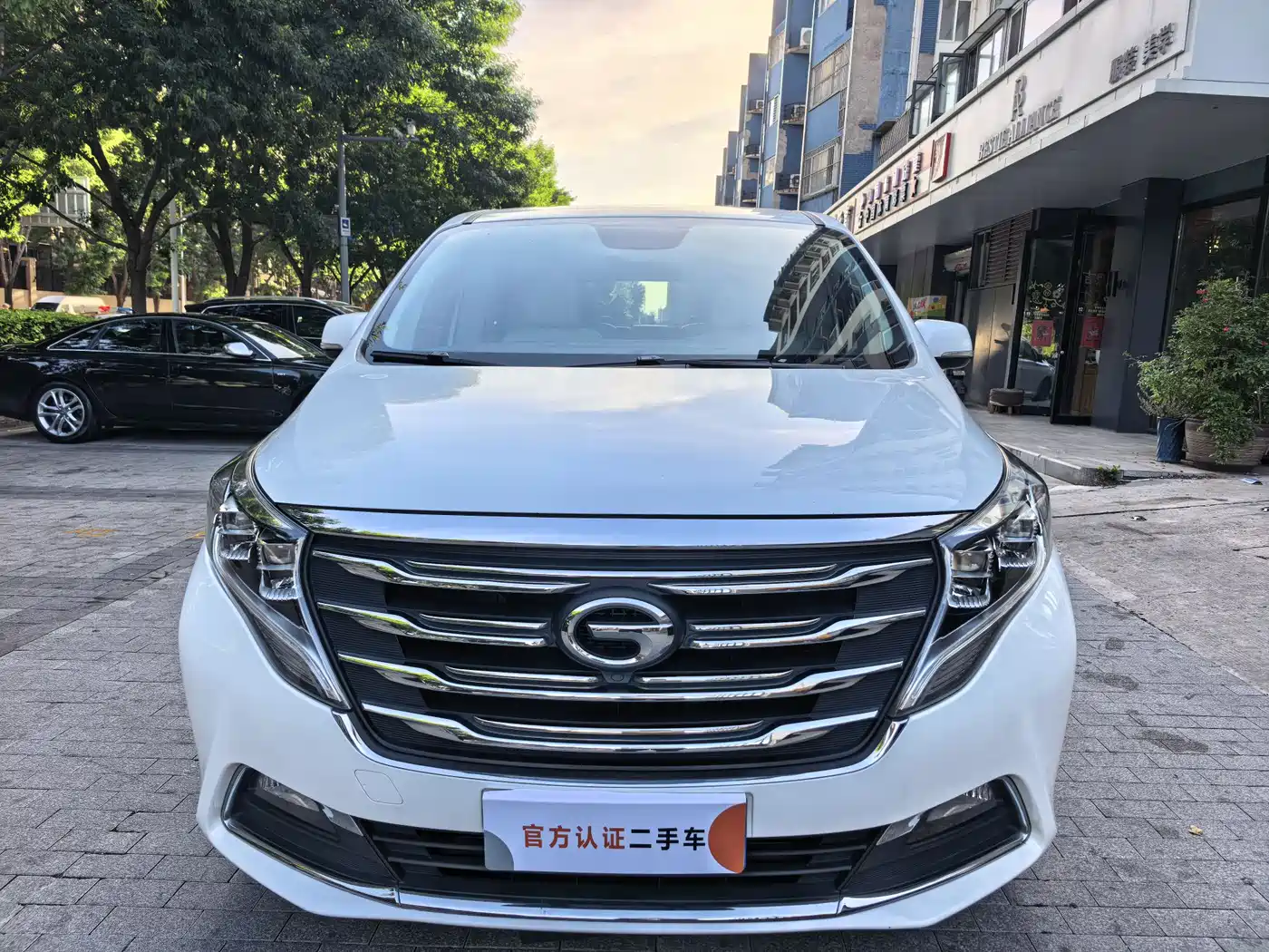 GAC Trumpchi Trumpchi M8 2018 320T Premium Edition фото 2