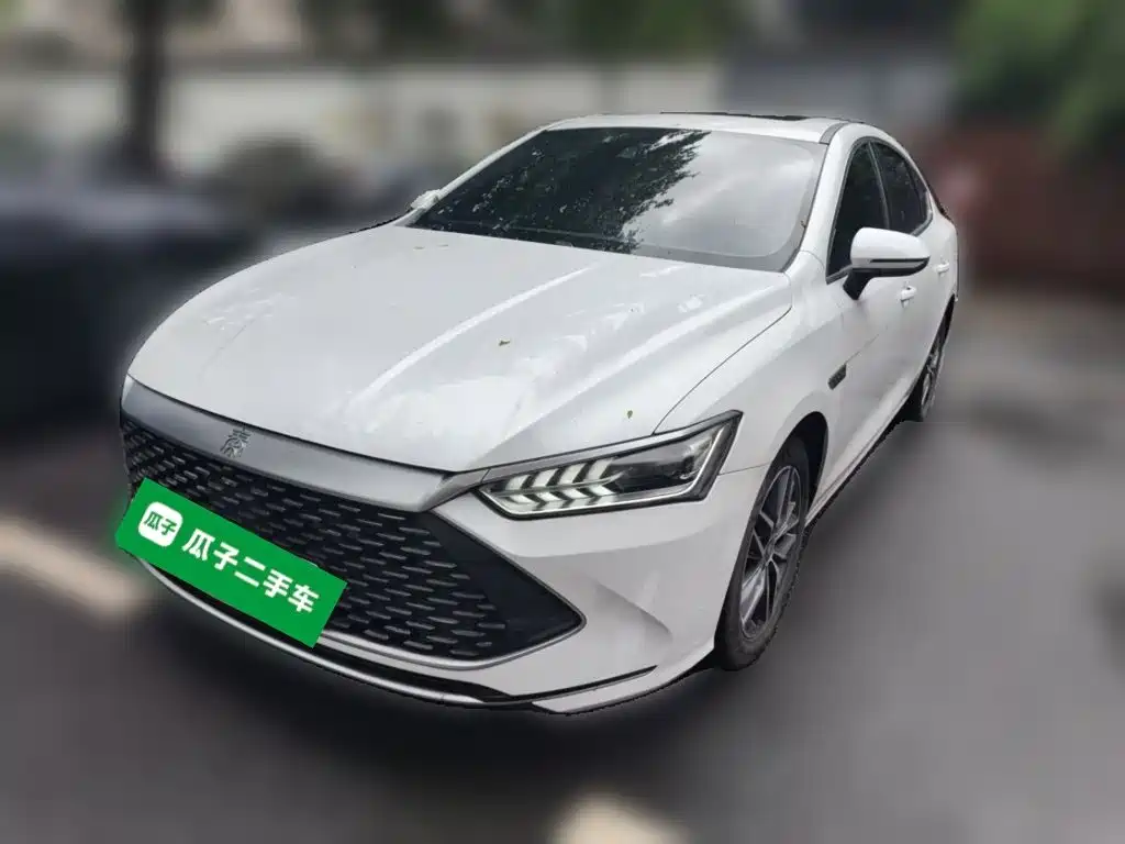 BYD Qin PLUS 2021