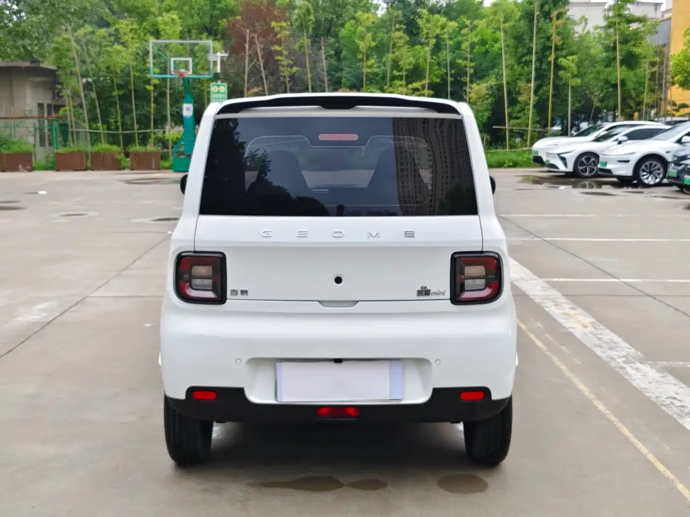 Geely Galaxy Panda 2026 2025 Panda mini 210km Vitality Bear