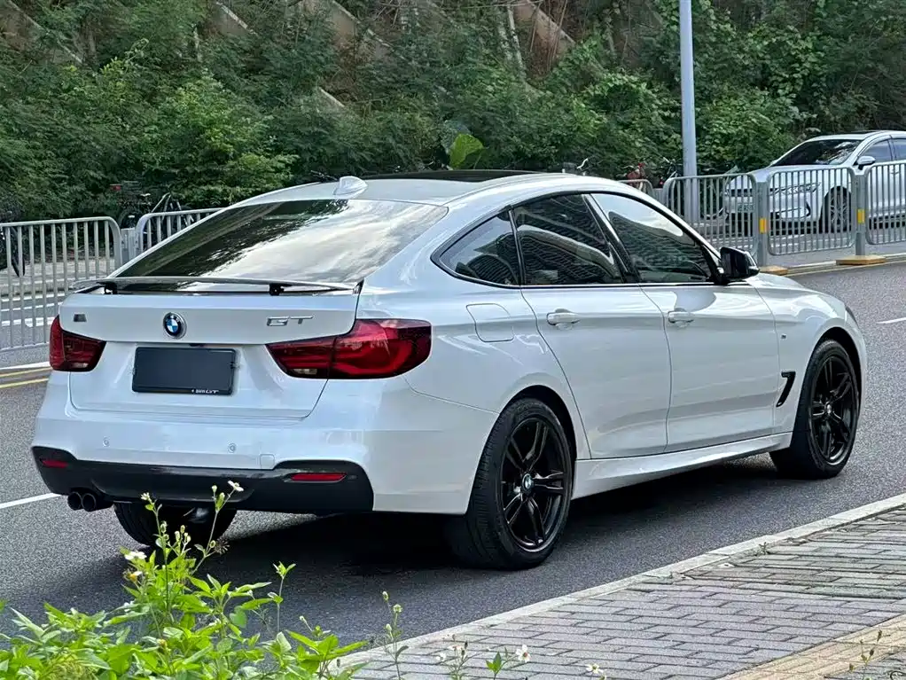 BMW 3 Series GT 2019 320i M Sport Black Night Edition фото 3