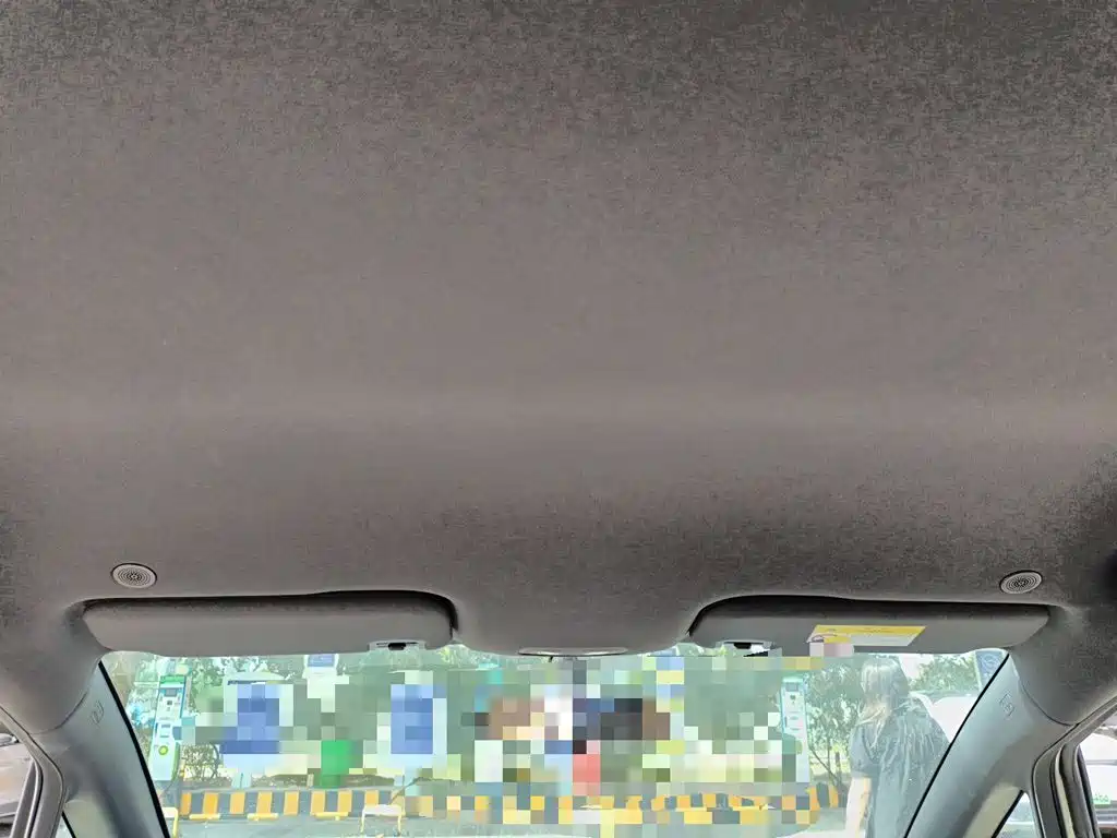 BYD Dolphin 2022 2021 405km Freedom Edition