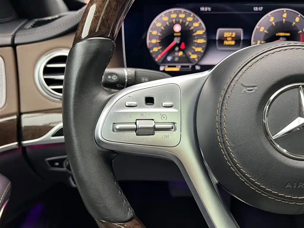 Mercedes-Benz S-Class 2020 S 350 L Premium Edition Collector's Version фото 14