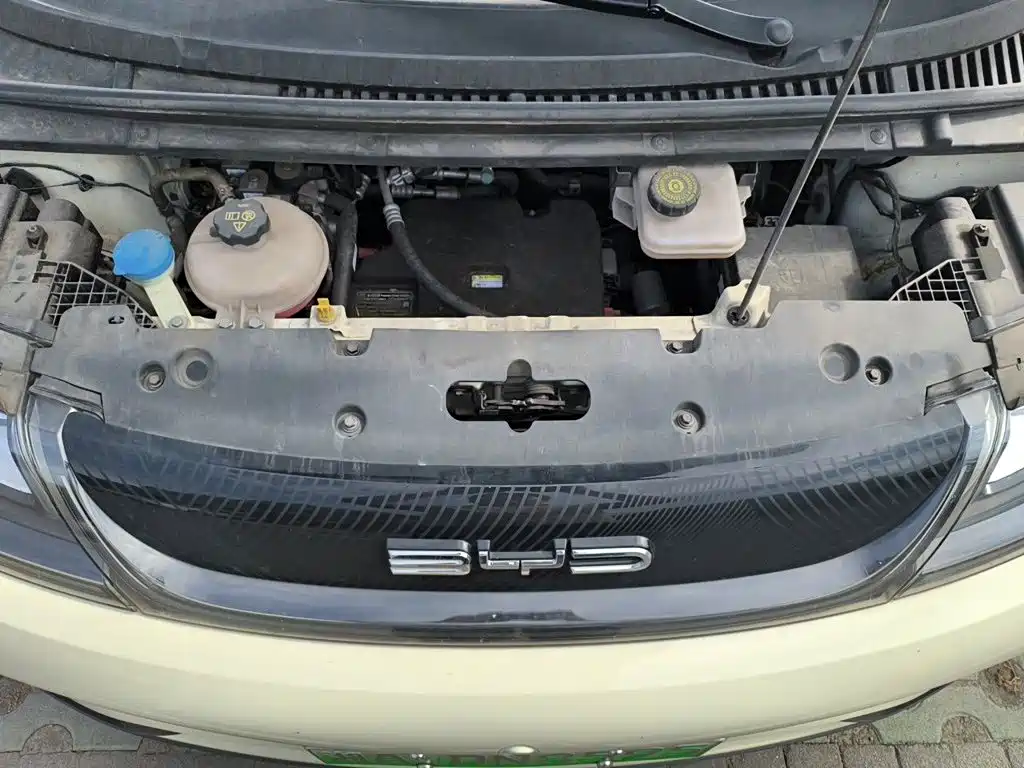 BYD Dolphin 2022 2021 405km Freedom Edition