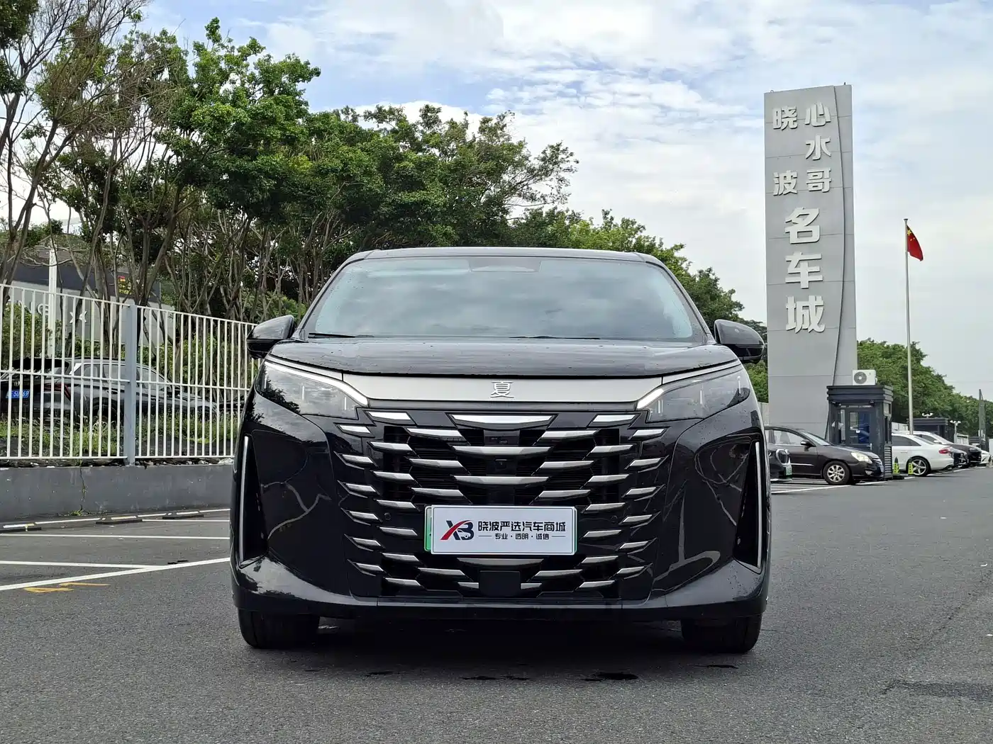 BYD Xia 2025 2025 DM-i 1.5T 180km Excellence
