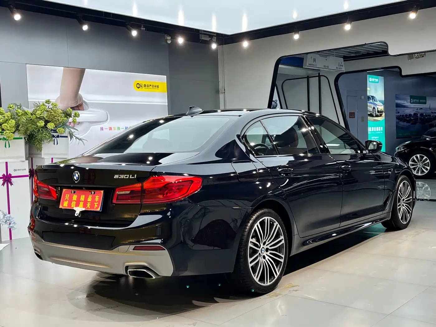 BMW 5 Series 2019 530Li Leading M Sport Package фото 15
