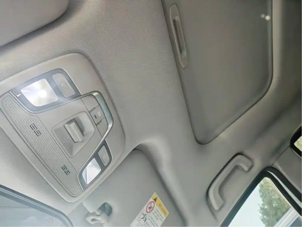 Geely Geometry EX3 Kung Fu Bull 2021 2021 Kung Fu Niu Niu