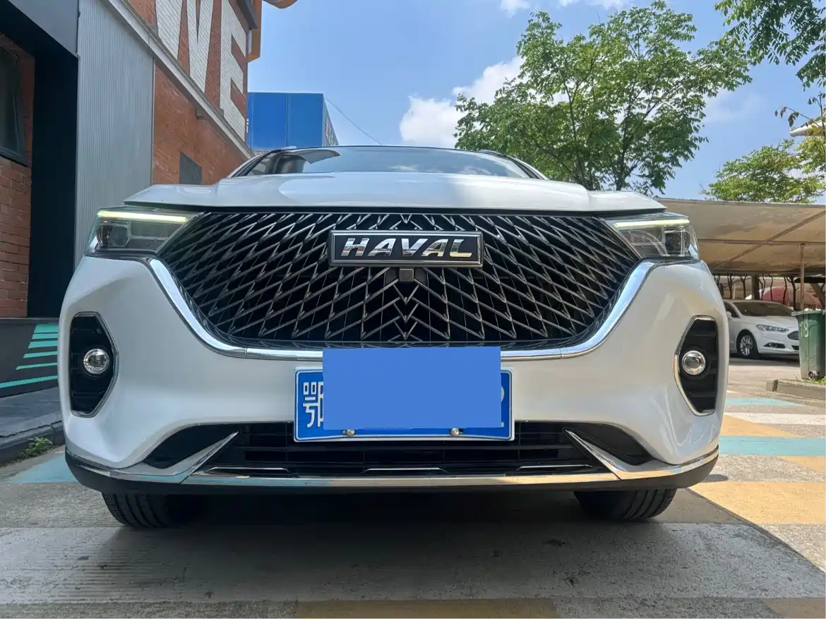 Haval M6 2024 PLUS 1.5T DCT Peanut Auto Custom Edition фото 4
