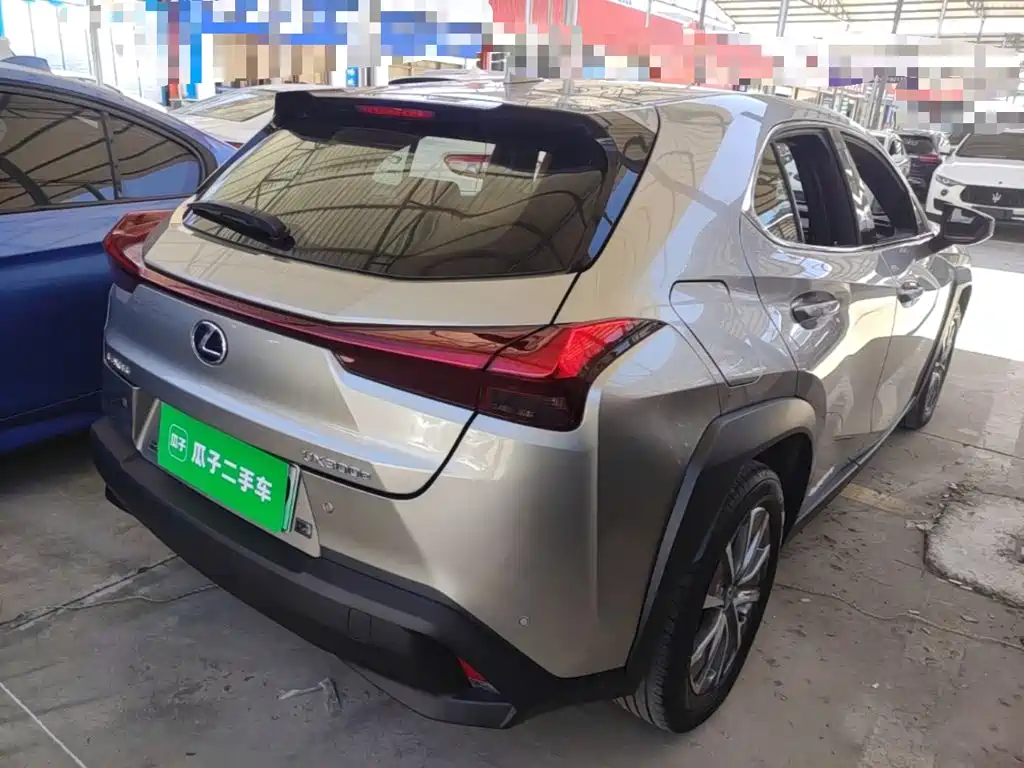 Lexus UX Electric 2021 2020 300e Pure Yue Edition