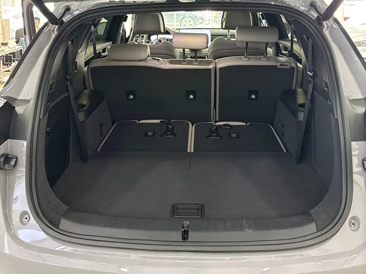 BYD Tang New Energy 2025 Smart Driving Edition DM-i 115KM Flagship фото 15