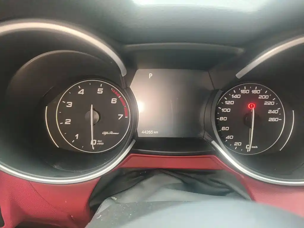 Alfa Romeo Stelvio 2021 2020 2.0T 280HP Luxury Edition