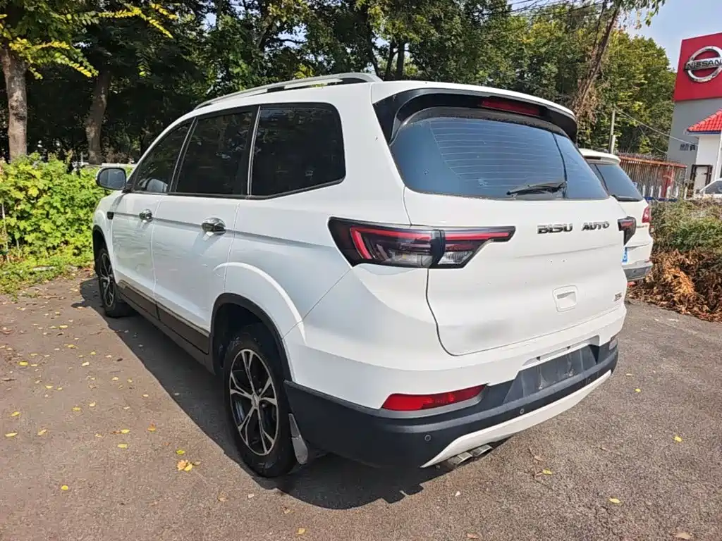 Bisu Auto Bisu T5 2018 2017 1.5T Automatic Luxury
