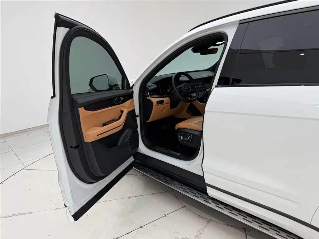 Lynk & Co 09 EM-P 2021 2.0T PHEV Halo 6-seater фото 13