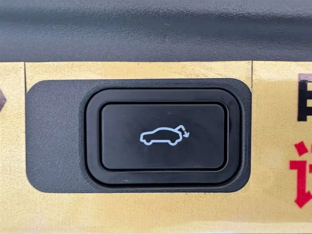 Lynk & Co 09 EM-P 2021 2.0T PHEV Halo 6-seater фото 28