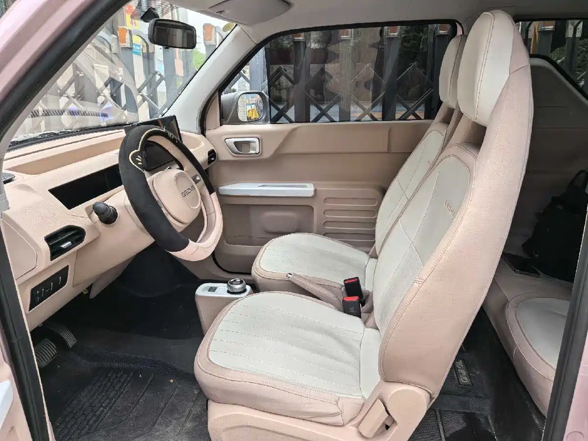 Geely Galaxy Panda 2024 Panda mini 200km Longteng PRO Edition фото 13