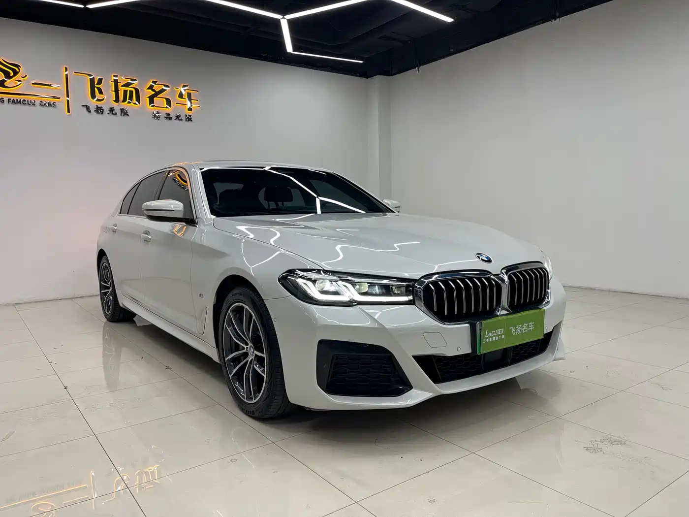 BMW 5 SERIES NEW ENERGY