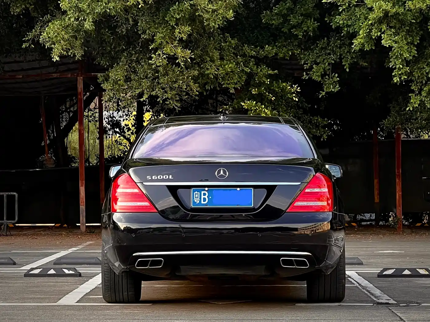Mercedes-Benz S-Class 2010 S 600 L фото 5