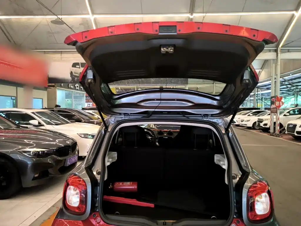 Фото 15 - smart forfour