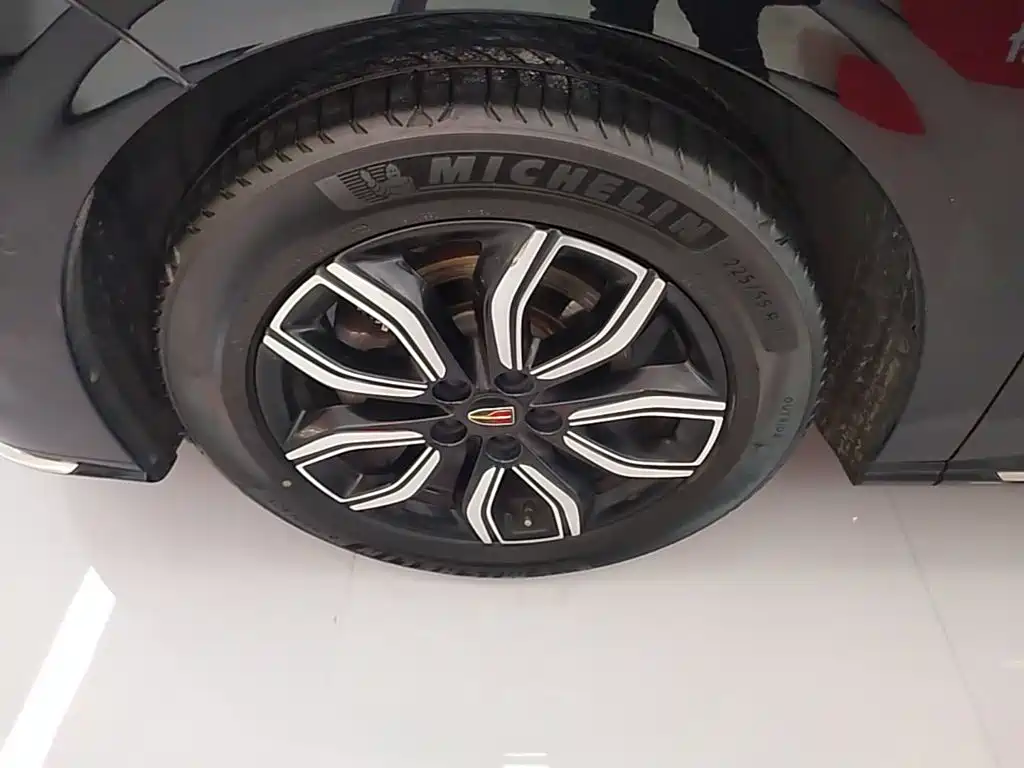Фото 23 - Hongqi HQ9