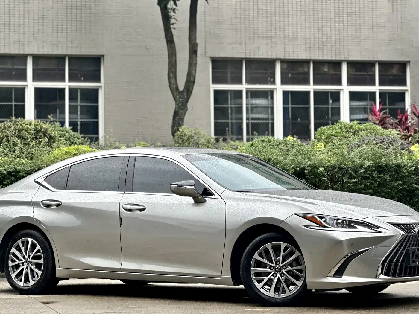 Lexus ES 2021 200 Excellence Edition фото 3