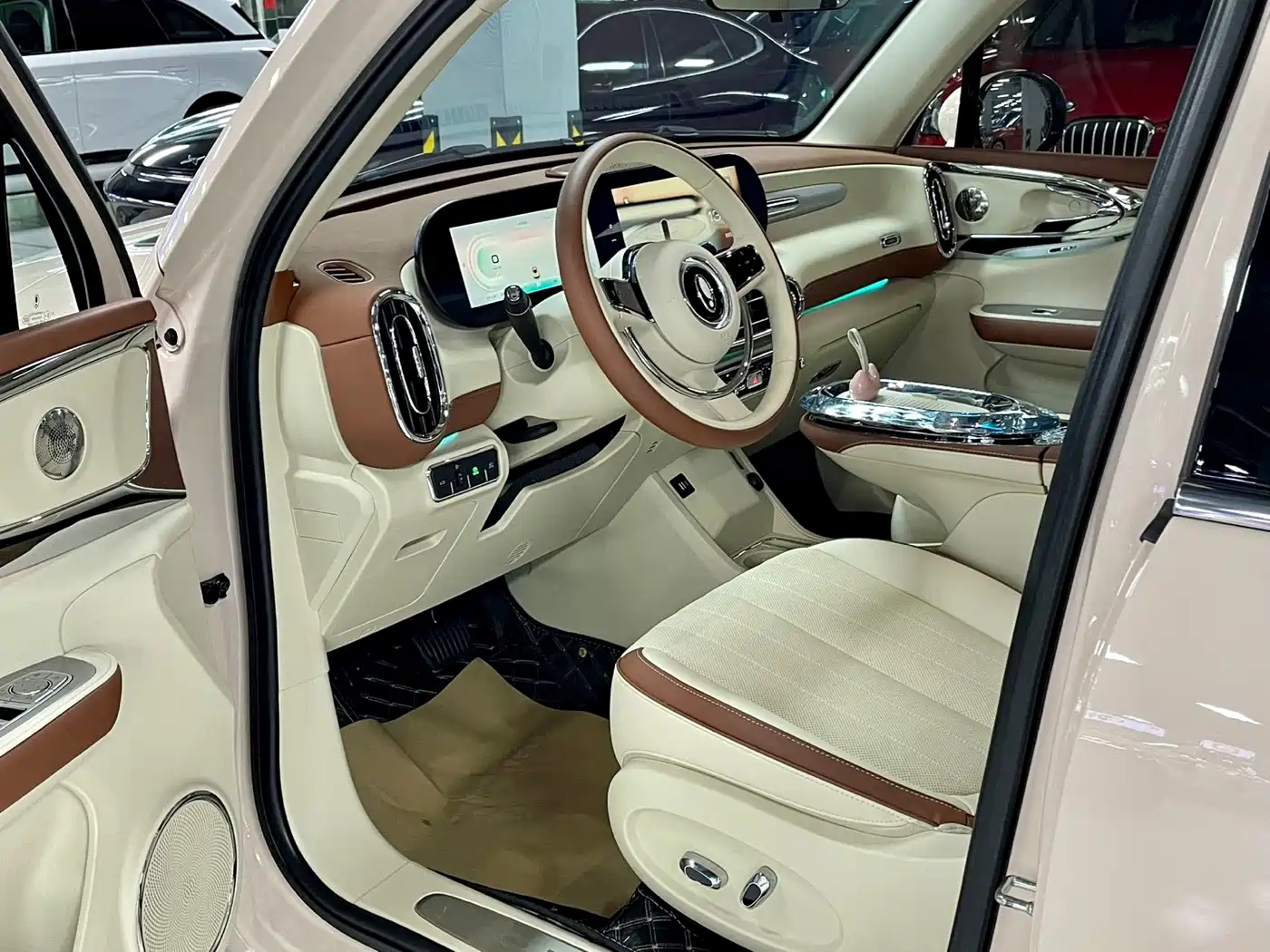 Ora Ballet Cat 2024 2023 401km Premium Model