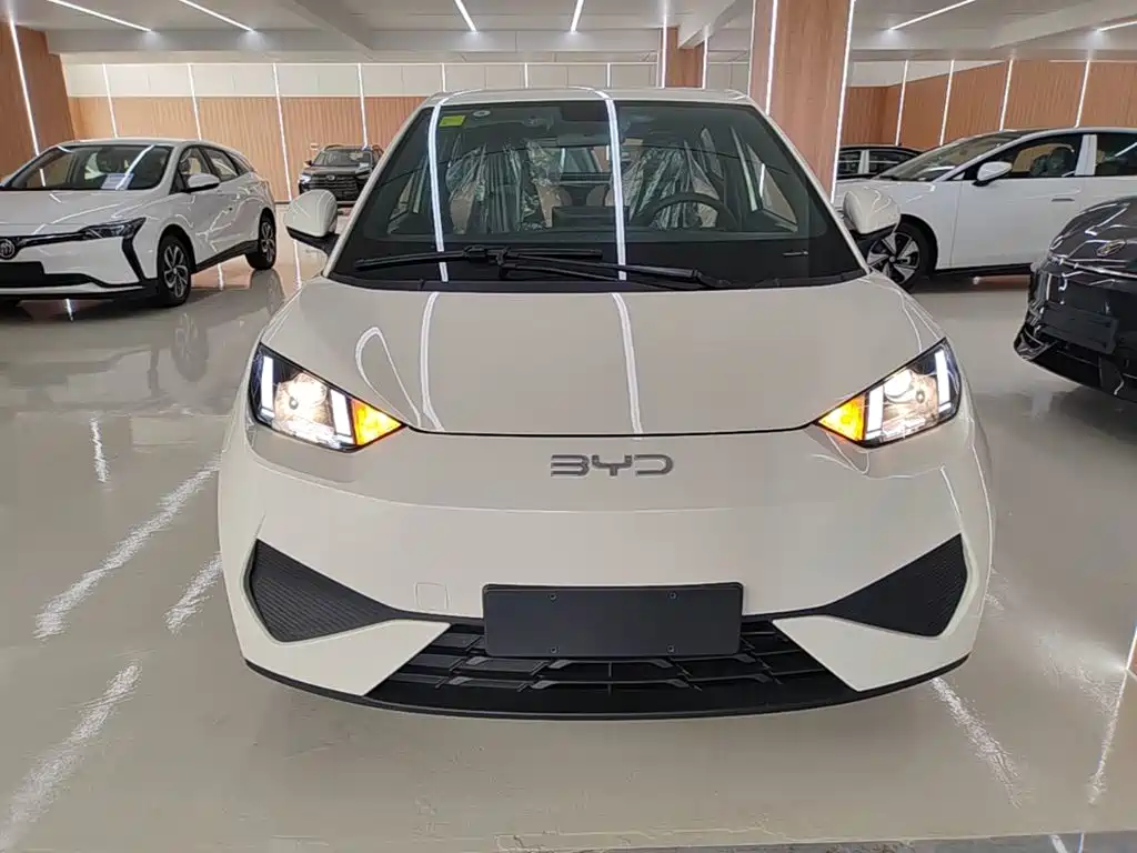BYD Seagull 2026 2025 Smart Drive Edition 305km Vitality Version