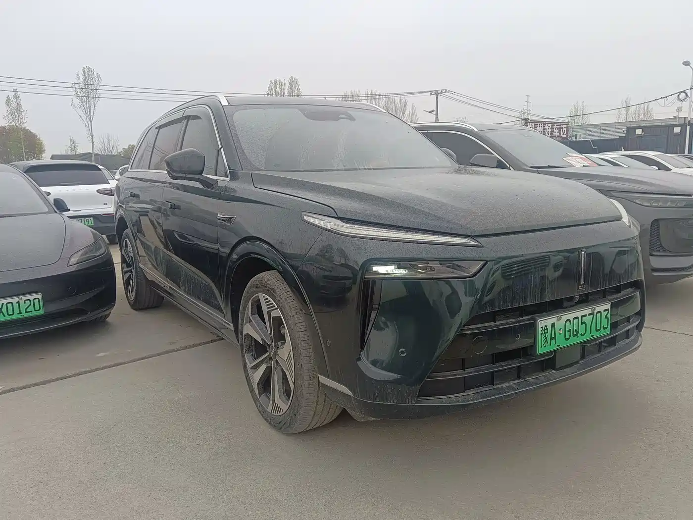 WEI PAI WEI BRAND BLUE MOUNTAIN