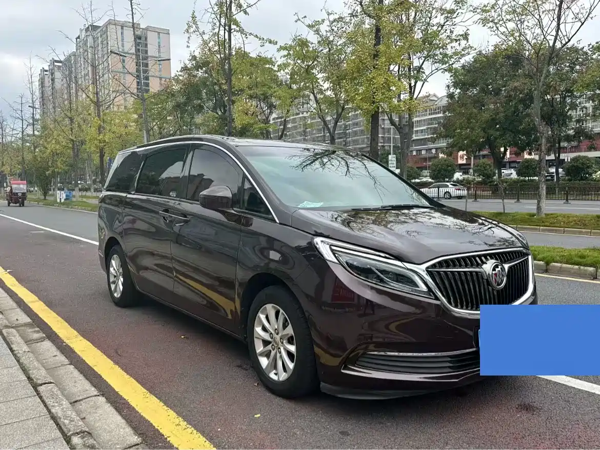 Buick GL8 2017 ES 28T Premium China V фото 3