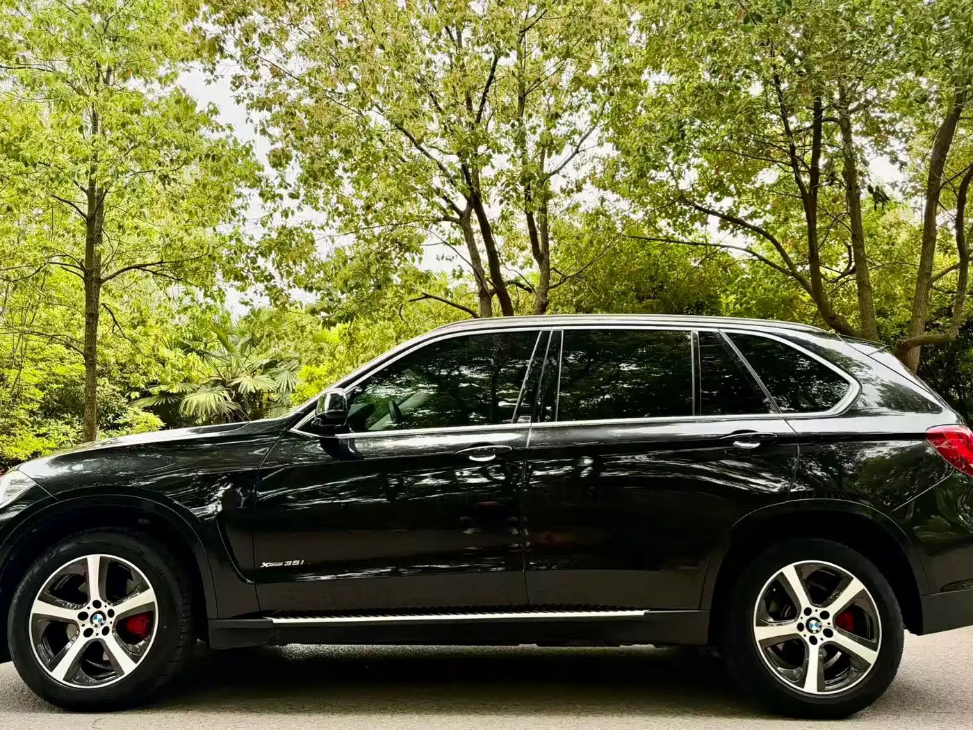 BMW X5 (Import) 2018 xDrive35i Elegant Model фото 3