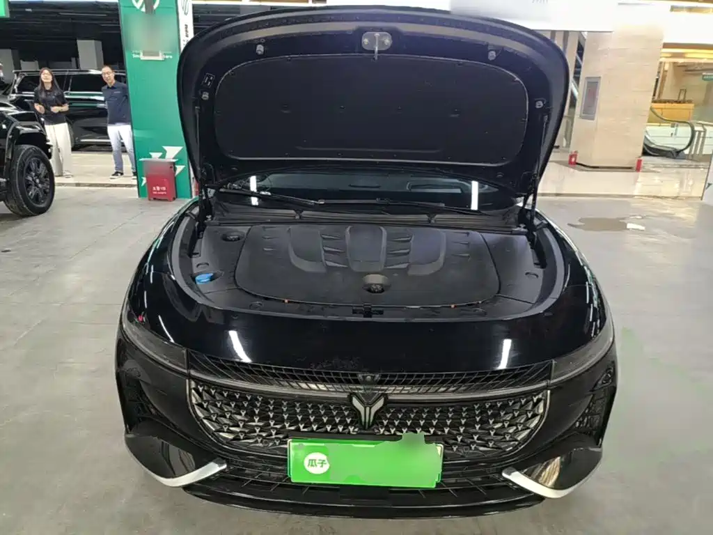 Voyah Auto VOYAH Zhuiguang 2024 2024 PHEV AWD Ultra Long Range Flagship