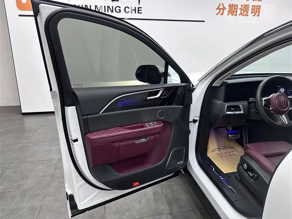 Hongqi E-HS9 2022 690km Qi Xiang Edition (6-seater) фото 6