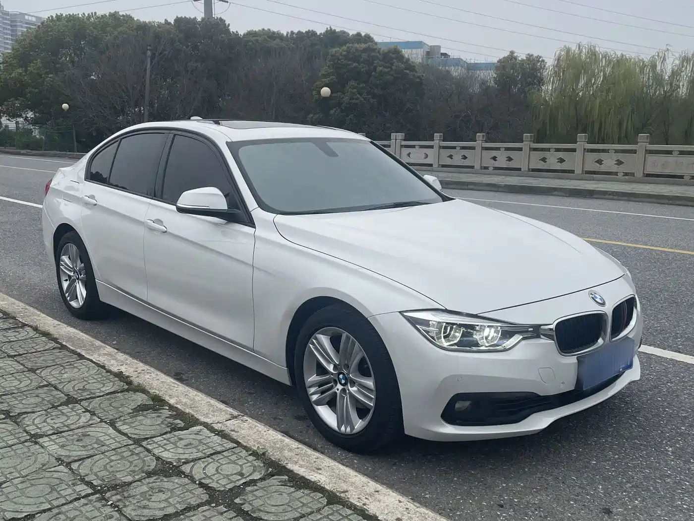 BMW 3 Series 2018 318Li фото 5
